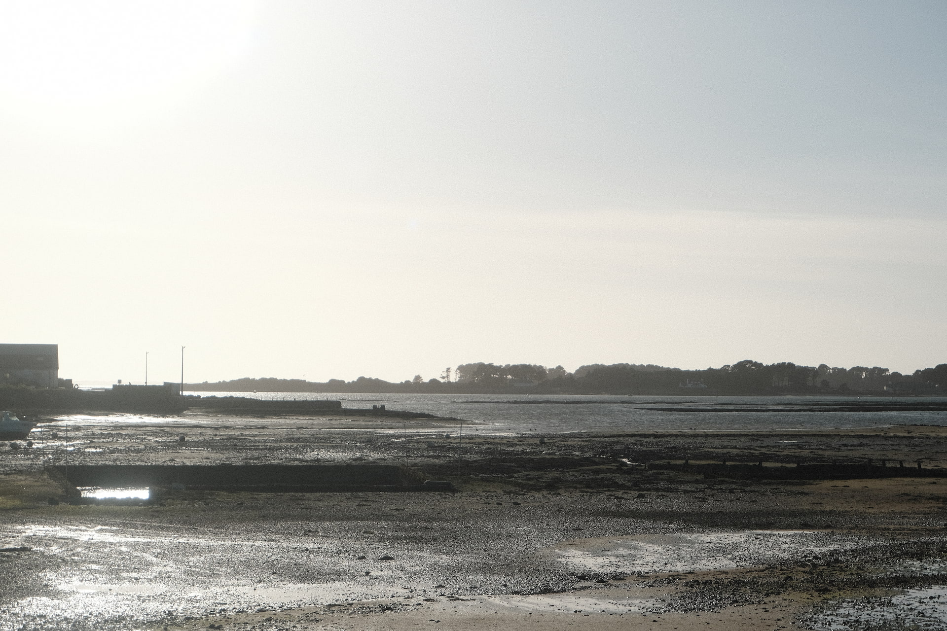 Le littoral du golfe du Morbihan à marée basse